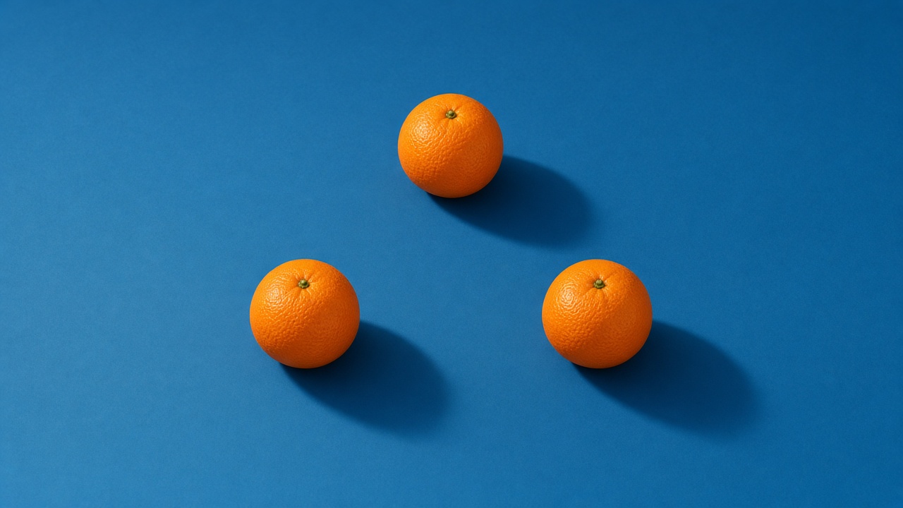 Three bright oranges against ocean blue - Tamla's precious tribute